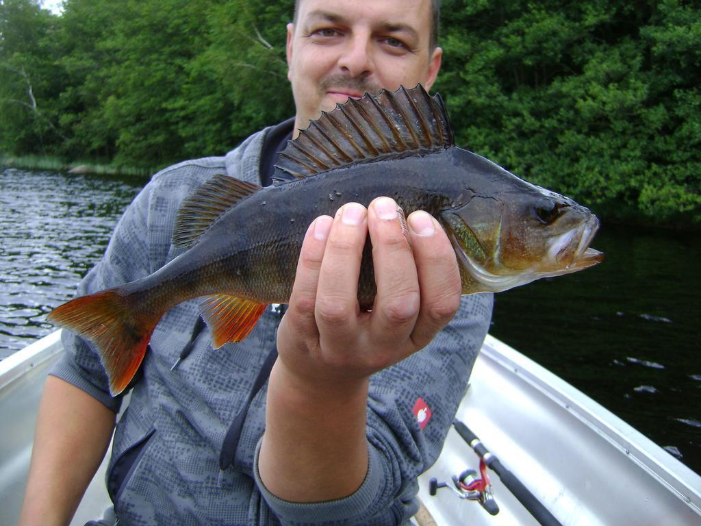 Wismens Natur&Fiske Krogsered Exterior foto