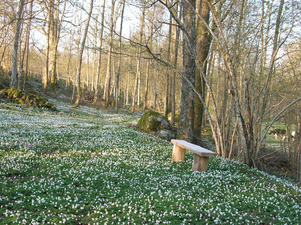 Wismens Natur&Fiske Krogsered Exterior foto