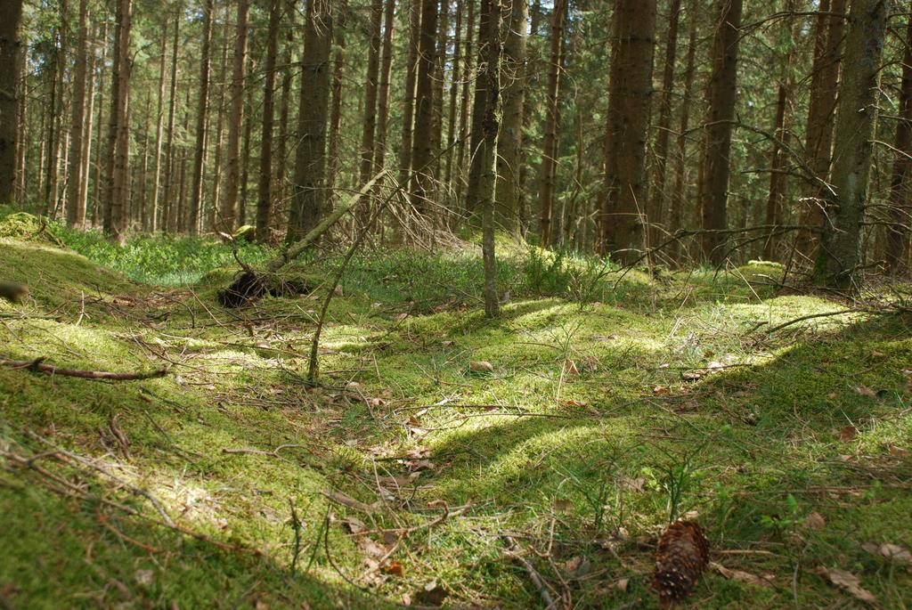Wismens Natur&Fiske Krogsered Exterior foto